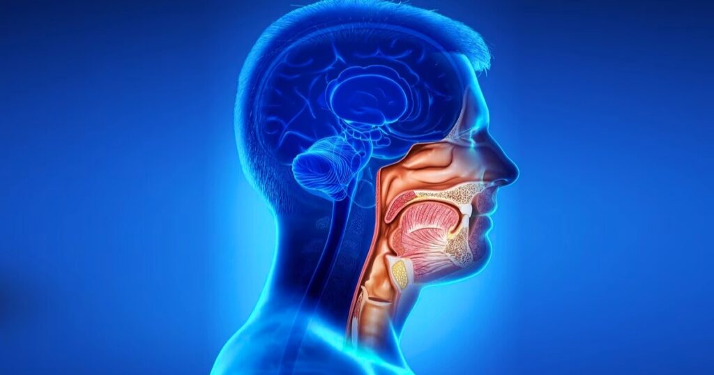 electro-oncologia quimioterapia radioterapia tratamiento cancer-cabeza cuello
